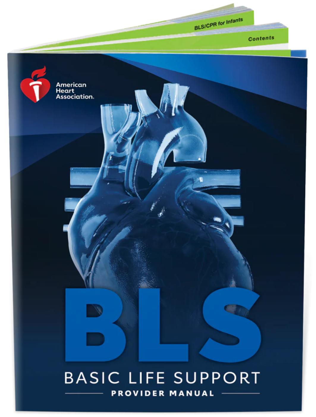 AHA - 2025 Basic Life Support (BLS Initial for Healthcare Providers) - Image 2