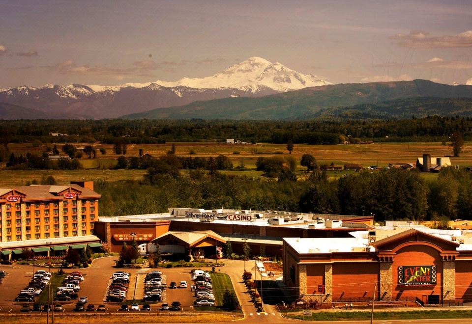 no deposit bonus for 7bit casino