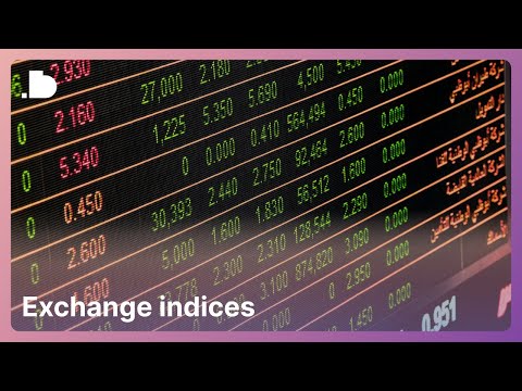 dotbig ltd